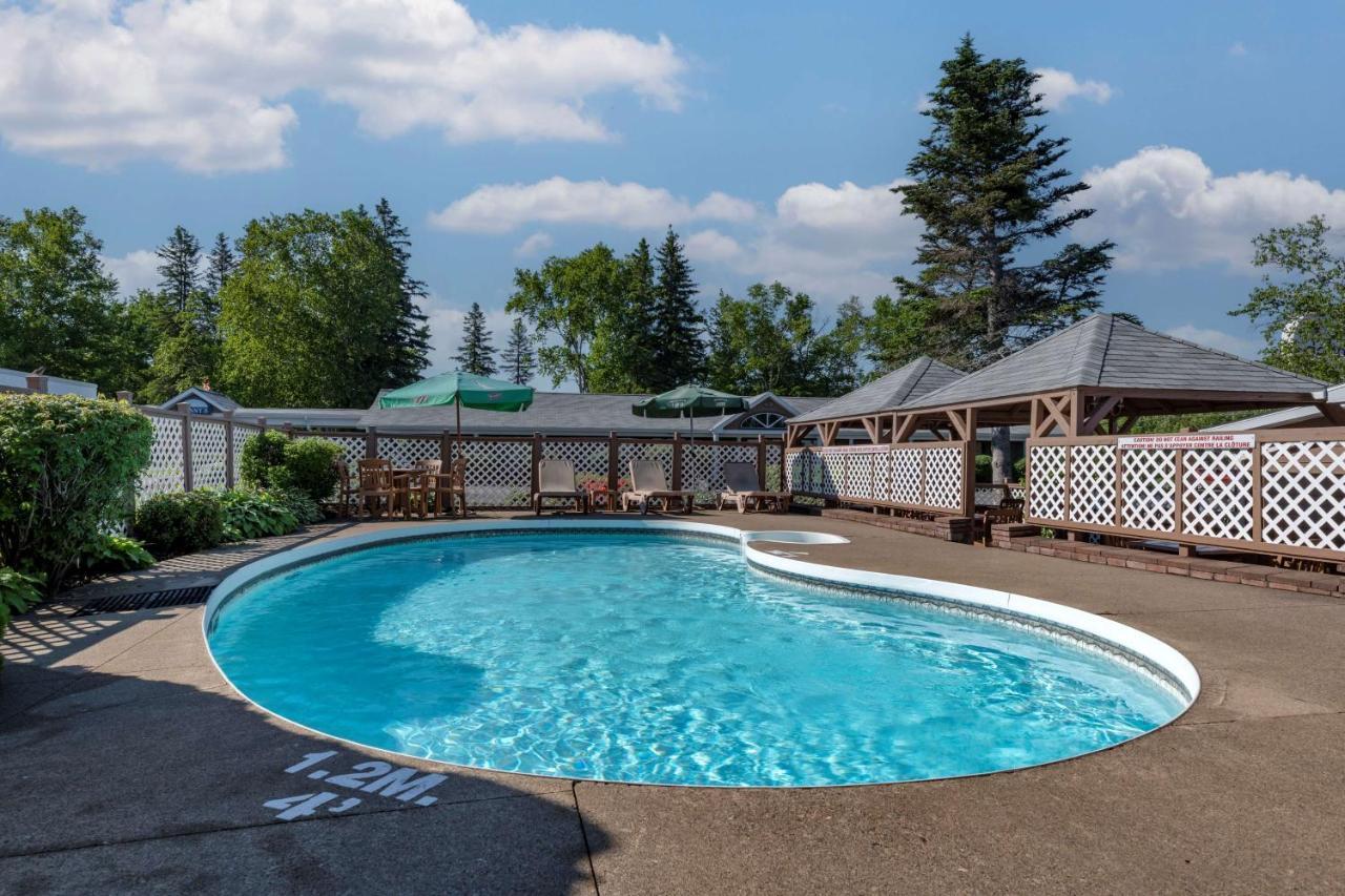 Dannys Suites; Surestay Collection By Western 4*